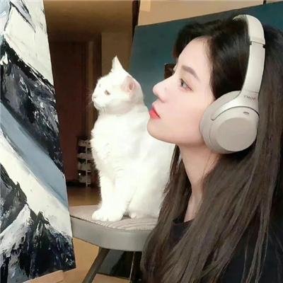 面纱之下